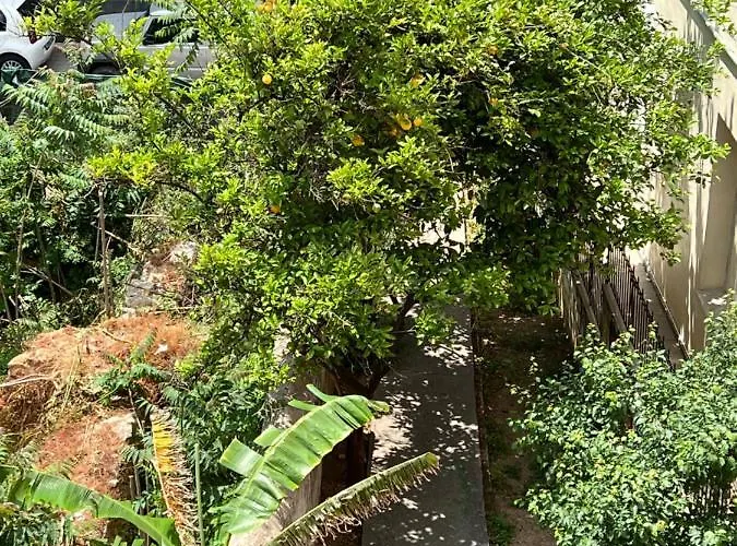 Cosy And Stylish In The Heart Of Chania Lägenhet *